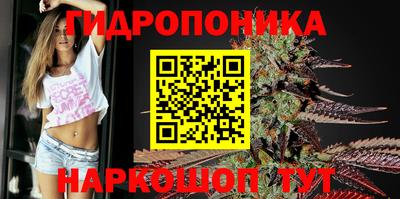 индика Апрелевка